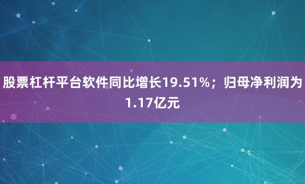 股票杠杆平台软件同比增长19.51%；归母净利润为1.17亿元