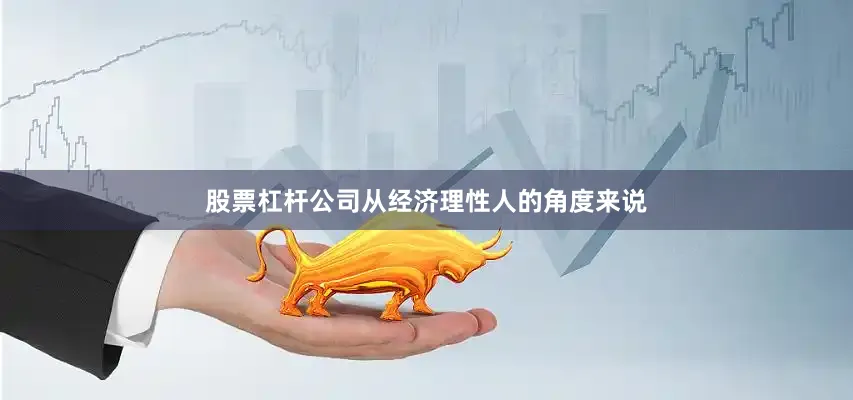 股票杠杆公司从经济理性人的角度来说