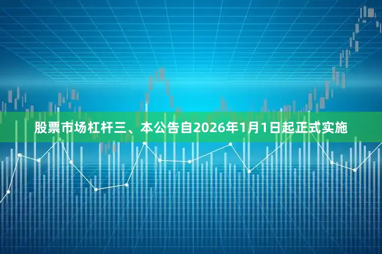 股票市场杠杆三、本公告自2026年1月1日起正式实施