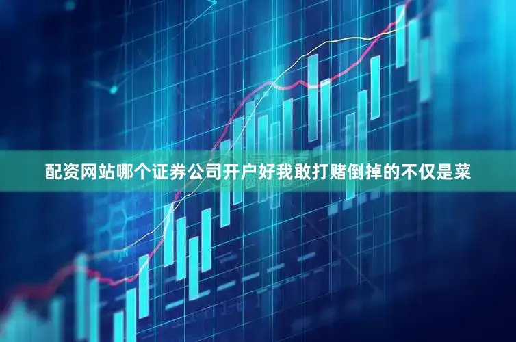 配资网站哪个证券公司开户好我敢打赌倒掉的不仅是菜